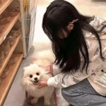 独孤求败手机版游戏下载
